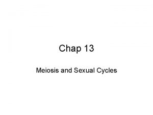 Chap 13 Meiosis and Sexual Cycles Sexual Life