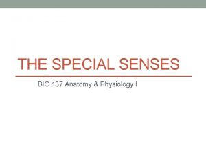 Special senses physiology