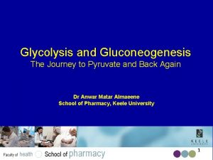 Three stages of glycolysis