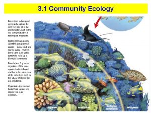 Ecology vocabulary list