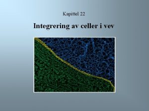Kapittel 22 Integrering av celler i vev Oversikt