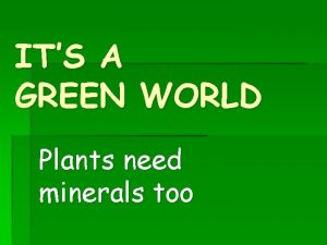 What minerals do plants need