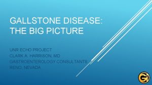 GALLSTONE DISEASE THE BIG PICTURE UNR ECHO PROJECT