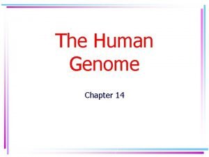 Chapter 14 the human genome making karyotypes answer key Chapter 14 the human genome making karyotypes answer key