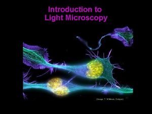 Introduction to Light Microscopy Image T Wittman Scripps