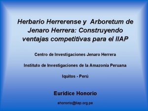 Herbario Herrerense y Arboretum de Jenaro Herrera Construyendo