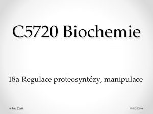 C 5720 Biochemie 18 aRegulace proteosyntzy manipulace Petr