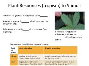Plant Responses tropism to Stimuli Tropism a growth