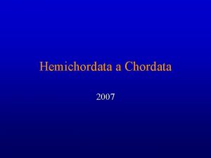 Hemichordata a Chordata 2007 Carakteristika Polostrunatc Vichni polostrunatci