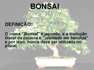 BONSAI DEFINIO O nome Bonsai japons e a