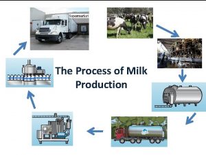 Milk production flow chart Milk production flow chart