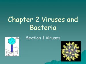 Chapter 2 Viruses and Bacteria Section 1 Viruses