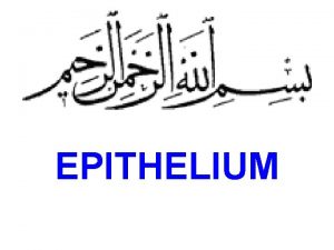 EPITHELIUM What is meant by epithelium Define epithelium