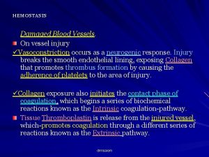 HEMOSTASIS Damaged Blood Vessels On vessel injury Vasoconstriction HEMOSTASIS Damaged Blood Vessels On vessel injury Vasoconstriction