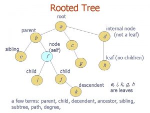 Root node