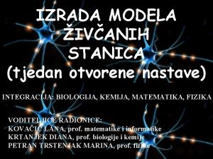 Model zivcane stanice Model zivcane stanice