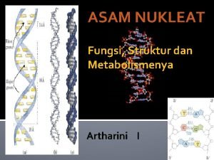 ASAM NUKLEAT Fungsi Struktur dan Metabolismenya Artharini I