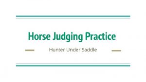 Horse Judging Practice Hunter Under Saddle Horse Judging