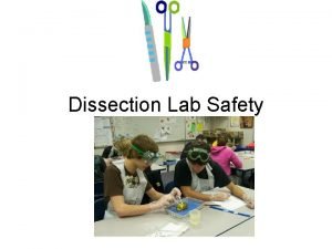 Dissection safety worksheet