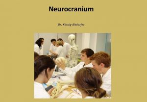 Neurocranium Dr Kroly Altdorfer Potential spaces of the