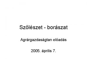 Szlszet borszat Agrrgazdasgtan elads 2005 prilis 7 Mirl