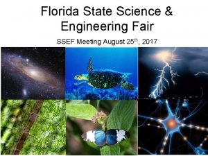 Florida state science fair