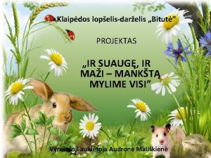 Klaipdos lopelisdarelis Bitut PROJEKTAS IR SUAUG IR MAI