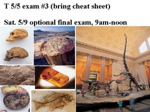 T 55 exam 3 bring cheat sheet Sat