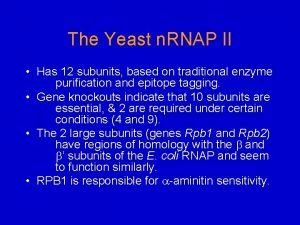 The Yeast n RNAP II Has 12 subunits