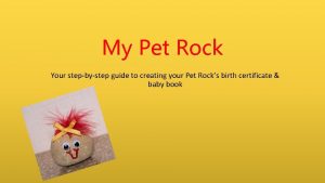My pet rock book