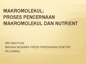 MAKROMOLEKUL PROSES PENCERNAAN MAKROMOLEKUL DAN NUTRIENT SRI WAHYUNI