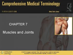 CHAPTER 7 Muscles and Joints Muscles Overview Muscles CHAPTER 7 Muscles and Joints Muscles Overview Muscles