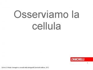 Osserviamo la cellula zanichelli