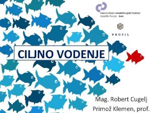 CILJNO VODENJE Mag Robert Cugelj Primo Klemen prof