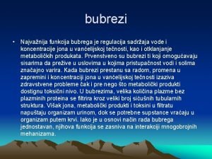 bubrezi Najvanija funkcija bubrega je regulacija sadraja vode