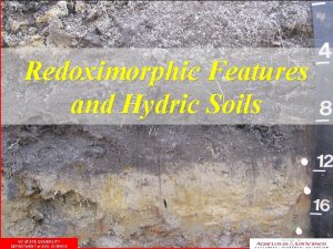 Redoximorphic features