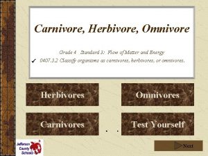 Dugong herbivore or omnivore