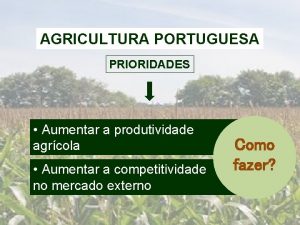 AGRICULTURA PORTUGUESA PRIORIDADES Aumentar a produtividade agrcola Aumentar