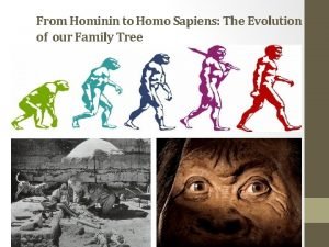 From Hominin to Homo Sapiens The Evolution of