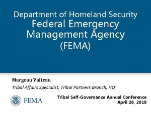 Department of Homeland Security Federal Emergency Management Agency