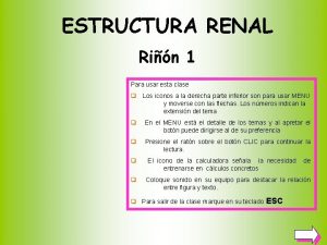 ESTRUCTURA RENAL Rin 1 Para usar esta clase