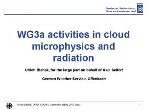 WG 3 a activities in cloud microphysics and