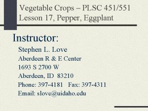 Vegetable Crops PLSC 451551 Lesson 17 Pepper Eggplant