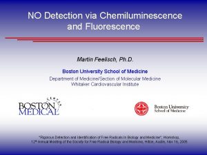 NO Detection via Chemiluminescence and Fluorescence Martin Feelisch