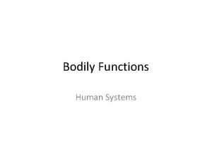 Bodily Functions Human Systems Muscular System Skeletal System