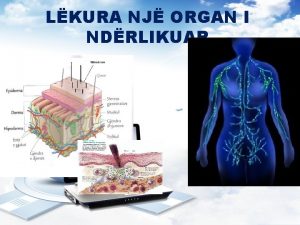 Lekura organ me role te shumta