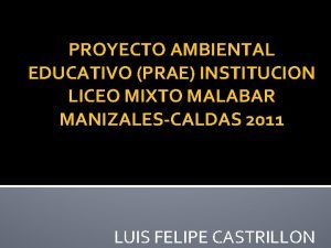 PROYECTO AMBIENTAL EDUCATIVO PRAE INSTITUCION LICEO MIXTO MALABAR