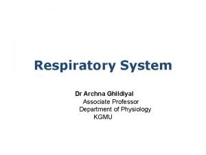 3 types of lung receptors