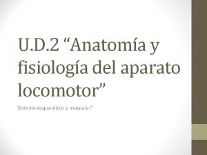 U D 2 Anatoma y fisiologa del aparato