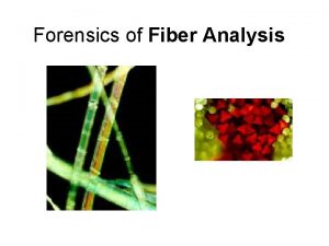 Forensics of Fiber Analysis Fibers A fiber is